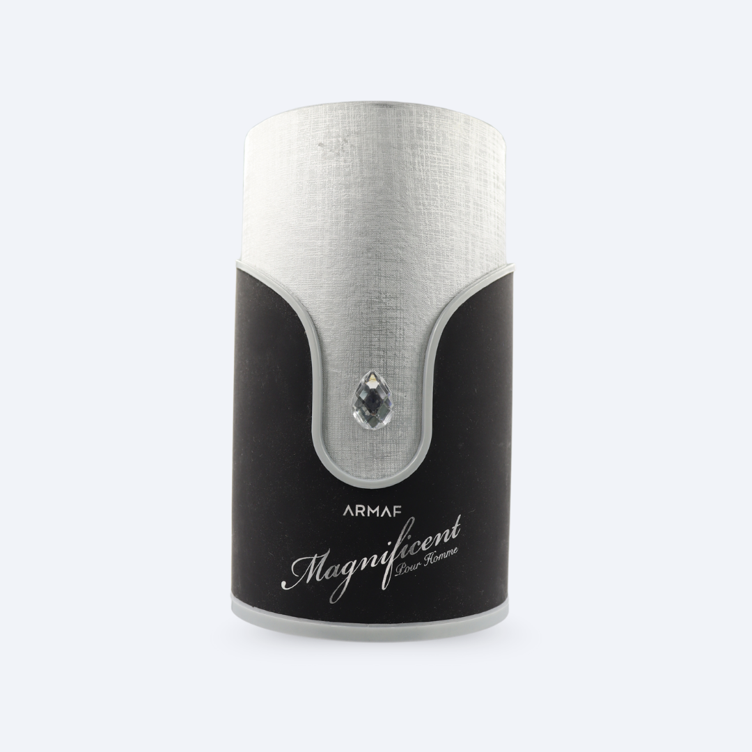Armaf Magnificent Pour Homme 100ml