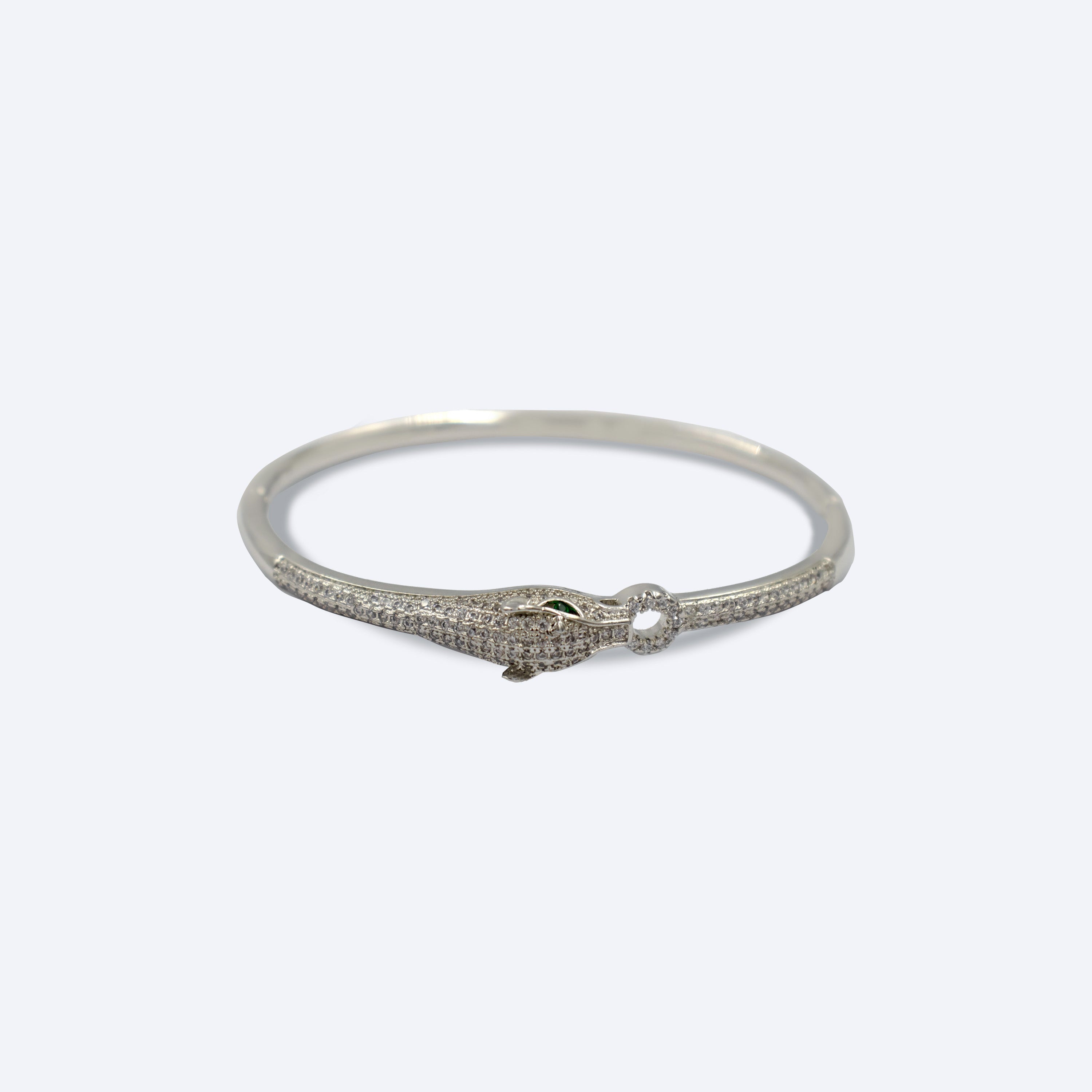 Savanna Circle Bangle