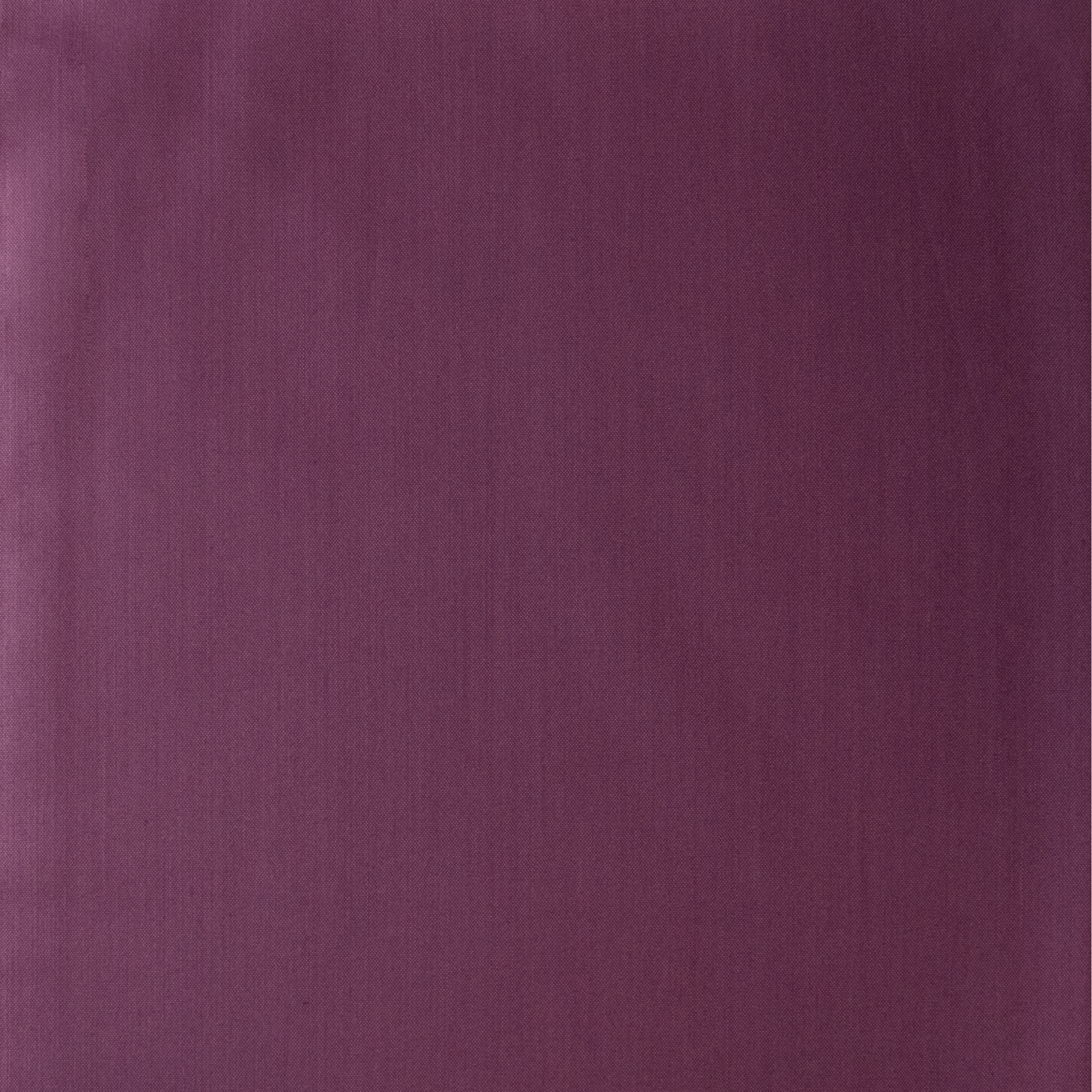 american_cotton_Damson_Purple.png