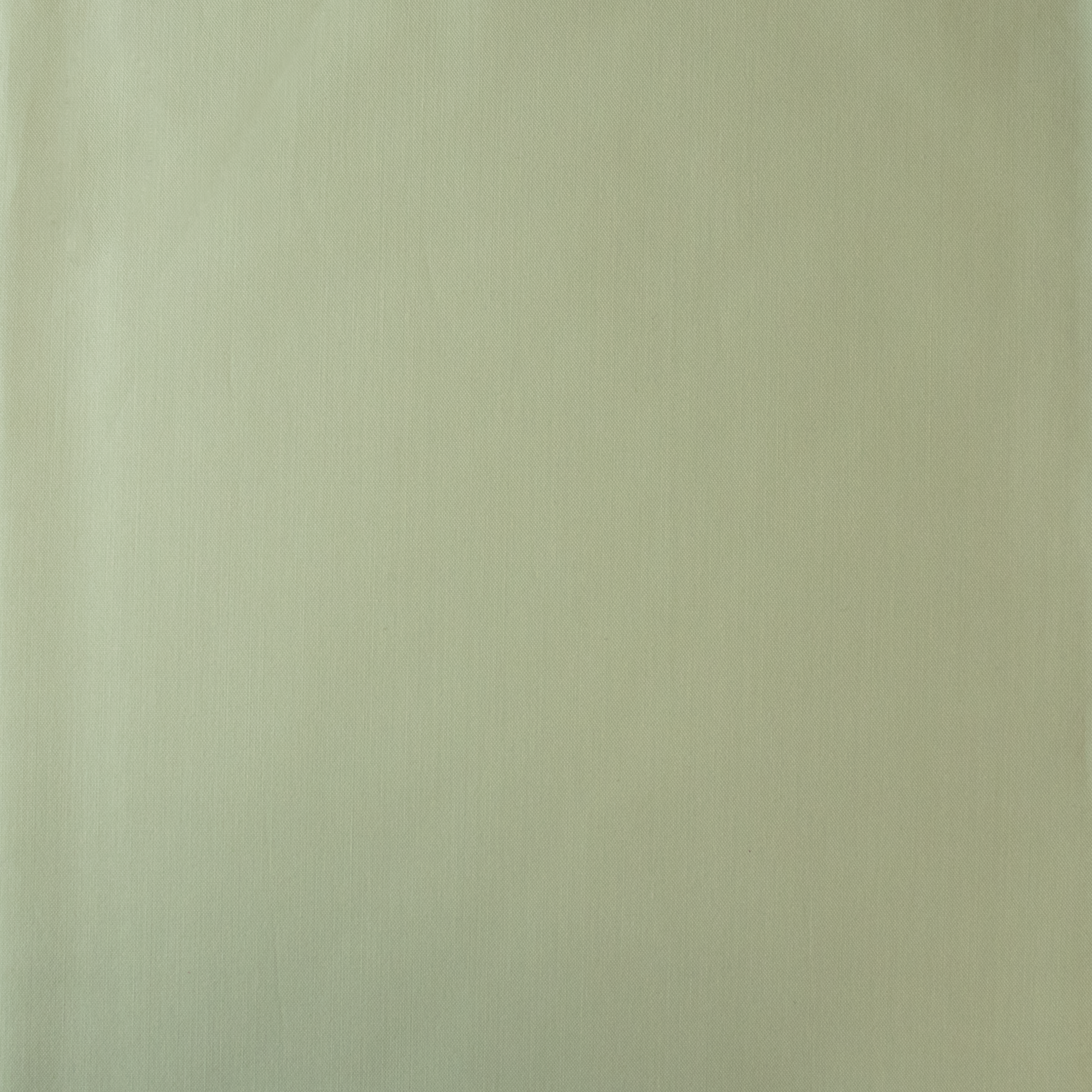 american_cotton_Pistachio_Green.png