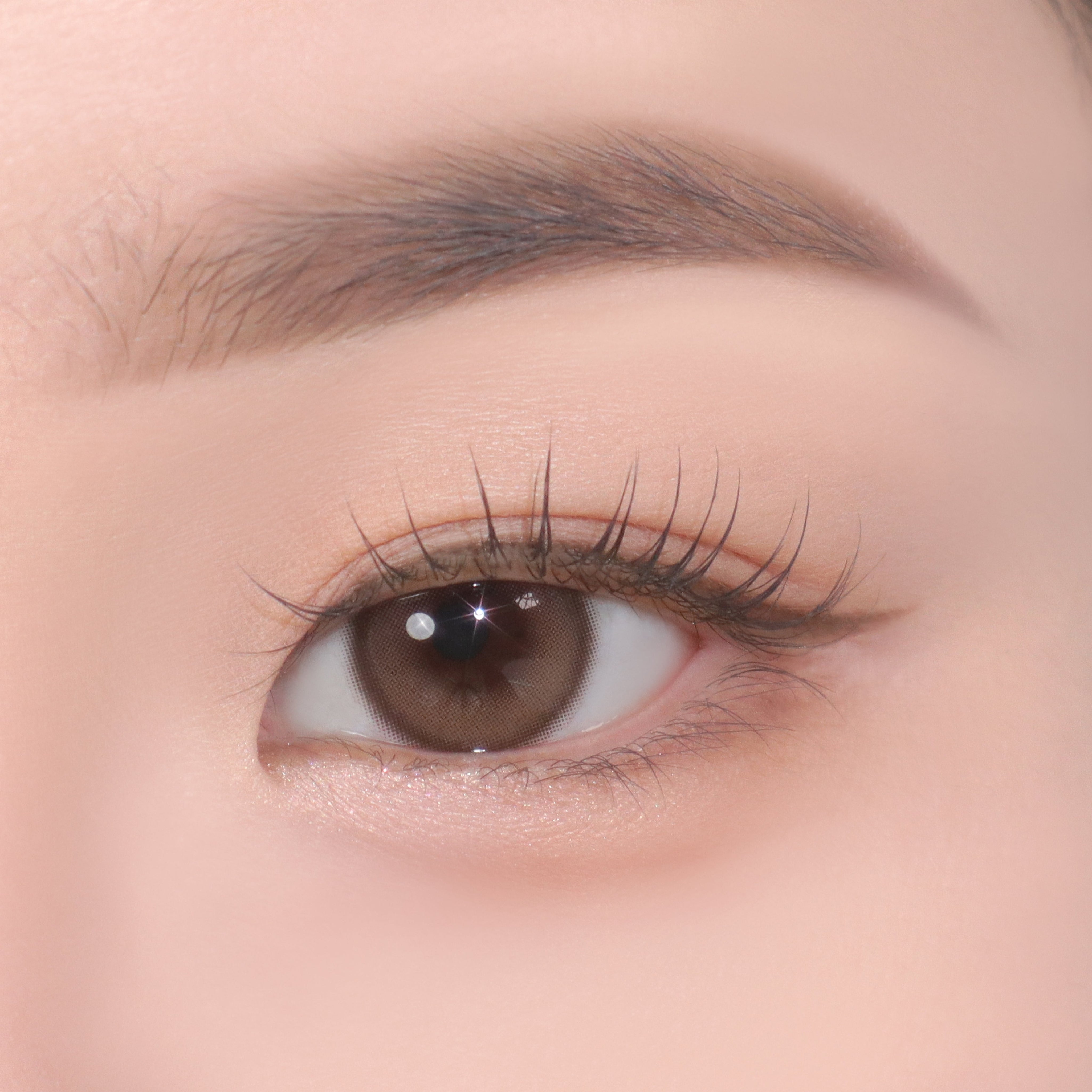04_Soft_Brown_416bc098-c169-4d53-81ee-fac7a5693601.jpg