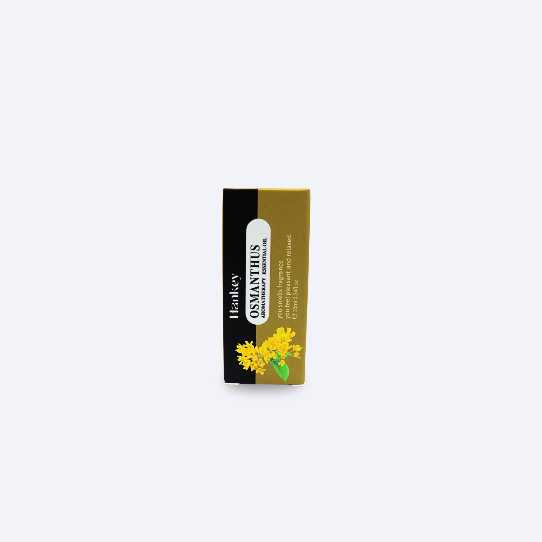 12_c78617cb-e48f-4a7a-b098-08375a9d6f08.png