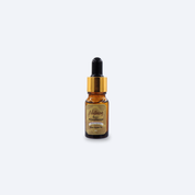 DCEA Nutmeg Plant  Fragrance Oil 10ml