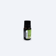Hankey Jasmine  Fragrance Oil 10ml