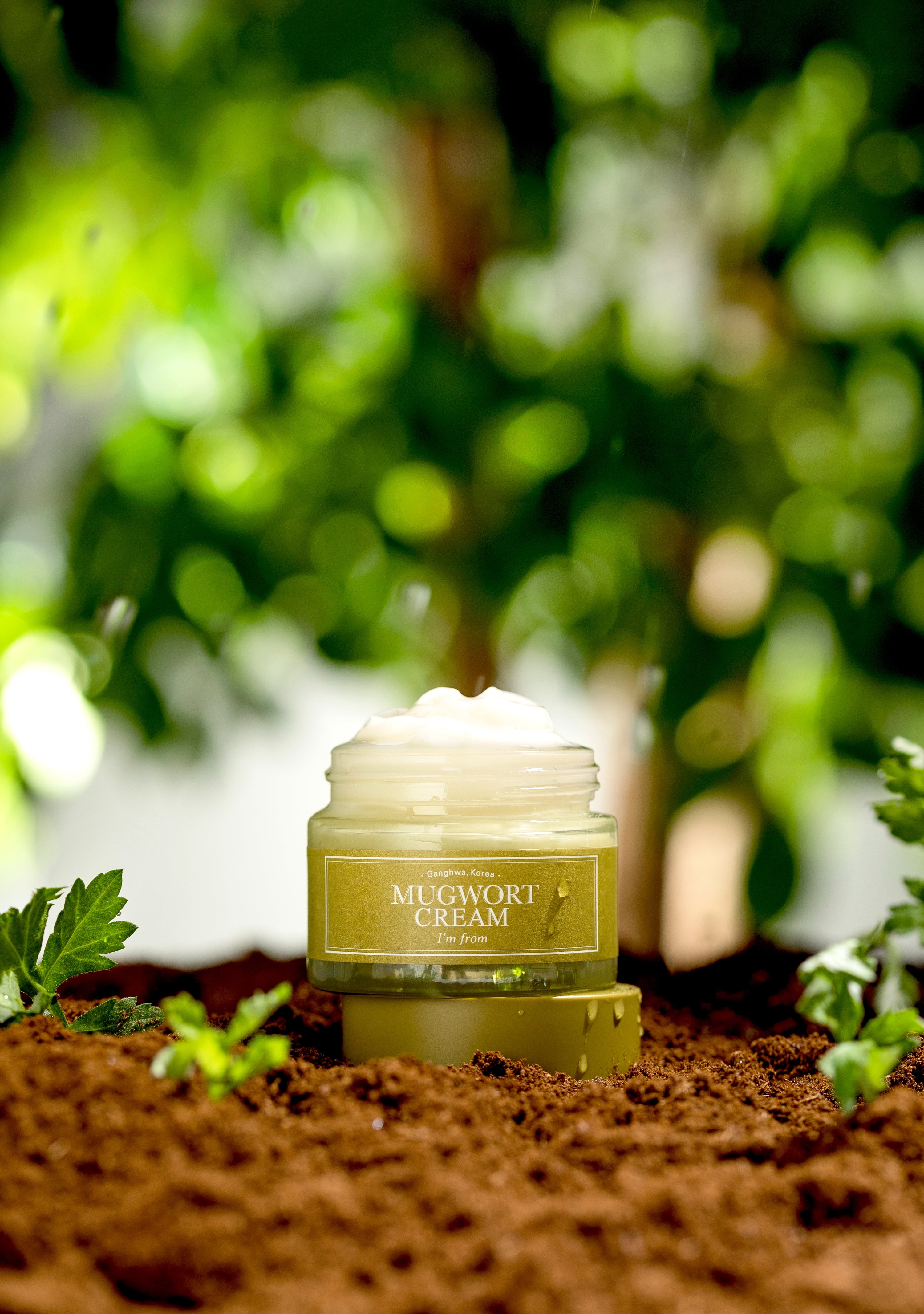 I'm From Mugwort Cream 50g