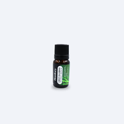 Hankey Green Bamboo  Fragrance Oil 10ml