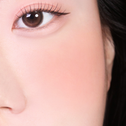 FORENCOS Pure Blusher 01 Rabbit