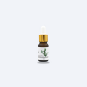 Fragrance Oil Eucalyptus 10ml